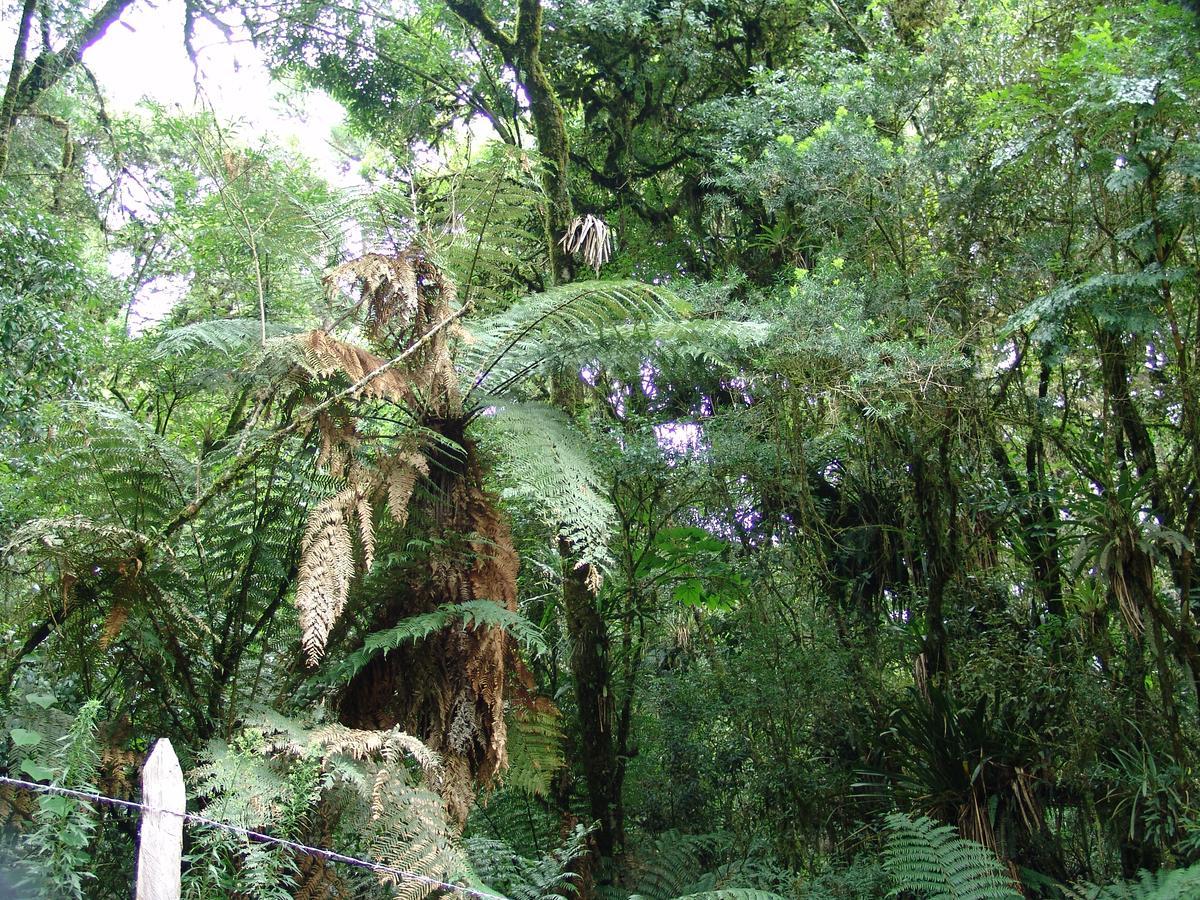 La Reserve Suites Monte Verde  Buitenkant foto